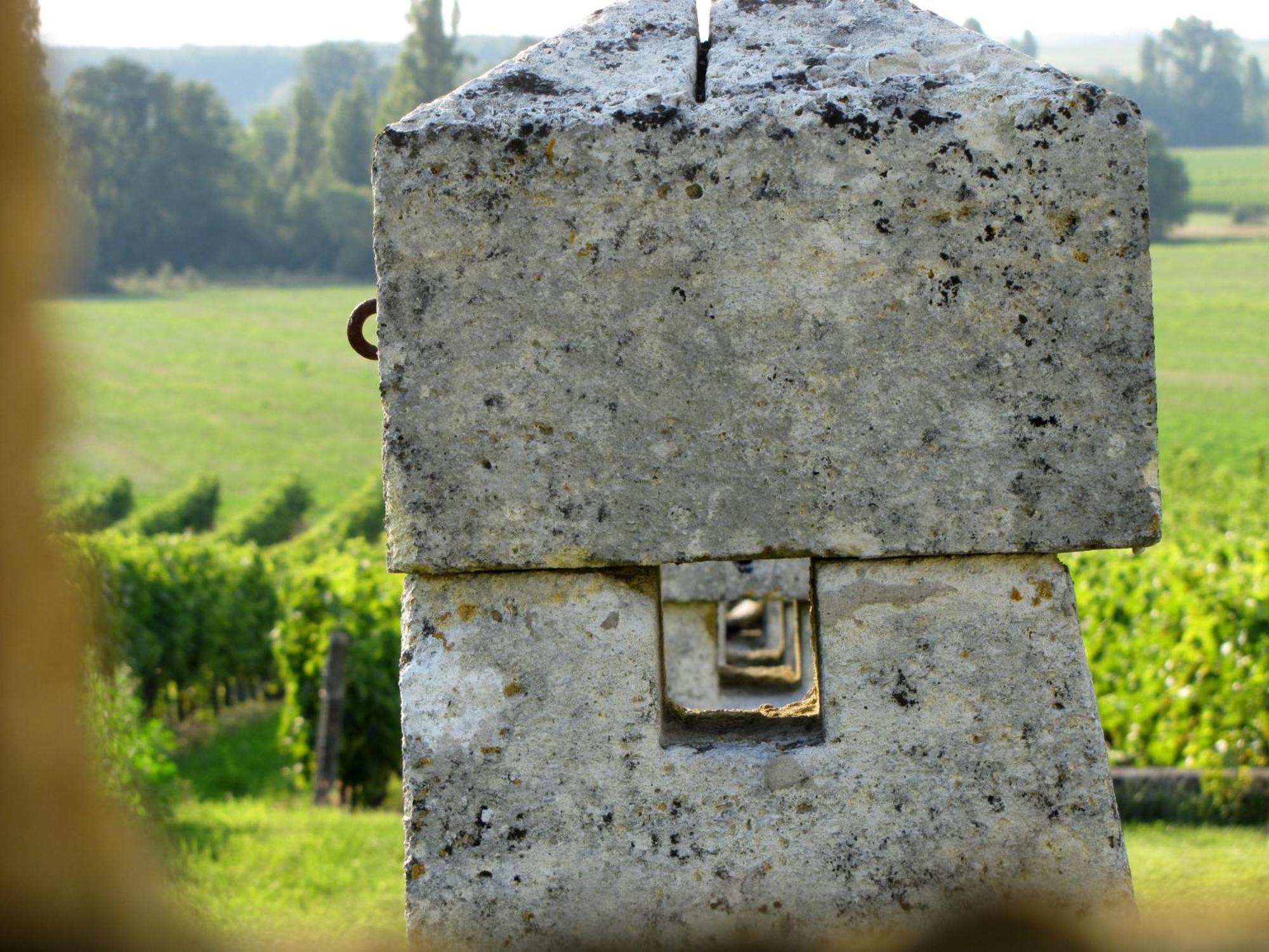 Chambre D'Hotes Clos Des Pierres Blanches Brie-sous-Archiac Kültér fotó
