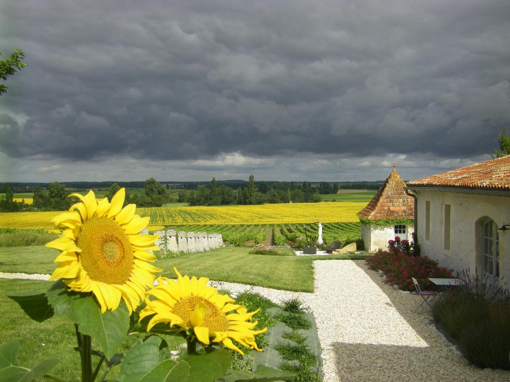 Chambre D'Hotes Clos Des Pierres Blanches Brie-sous-Archiac Kültér fotó